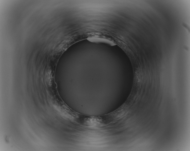 X0000099950223200806061550