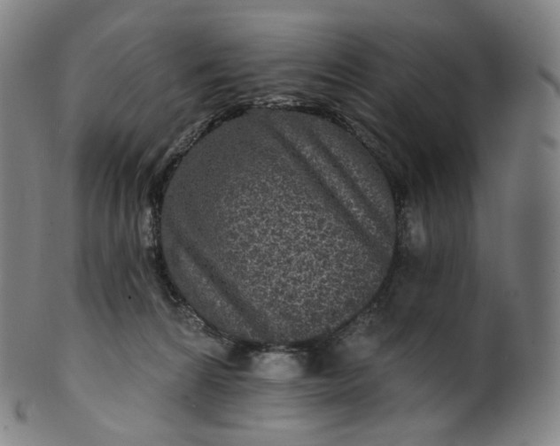 X0000099950224200806061550