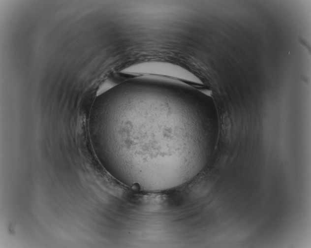 X0000099950225200806061550