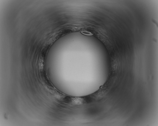 X0000099950226200806061550