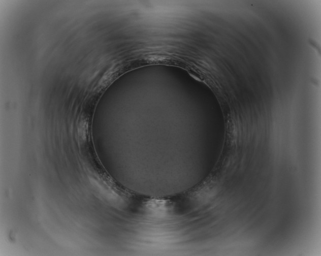 X0000099950227200806061550