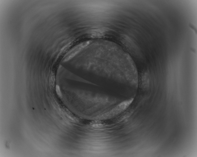 X0000099950228200806061550