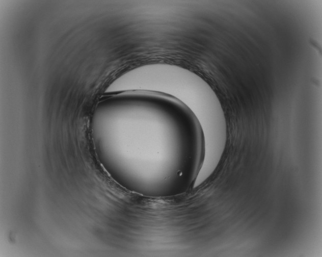 X0000099950229200806061550