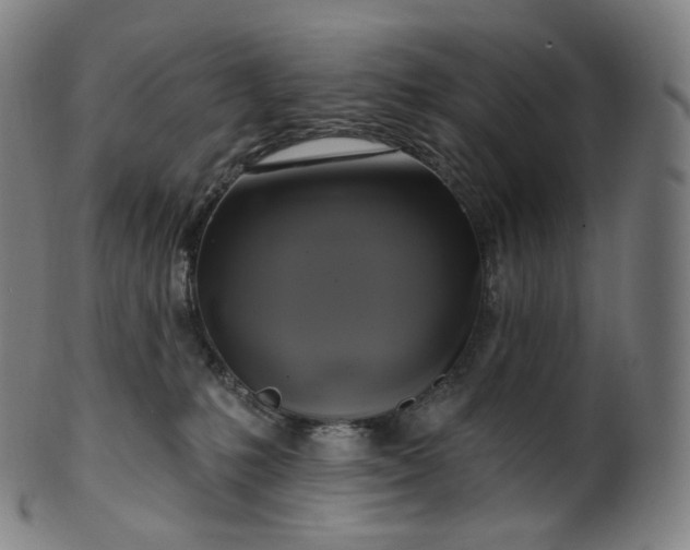 X0000099950231200806061550