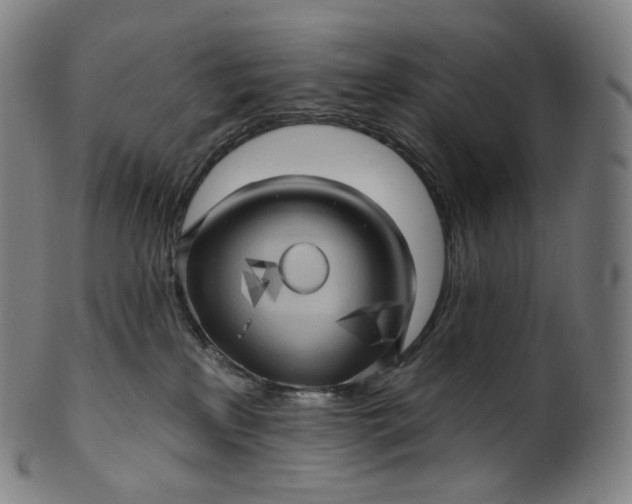 X0000099950233200806061550