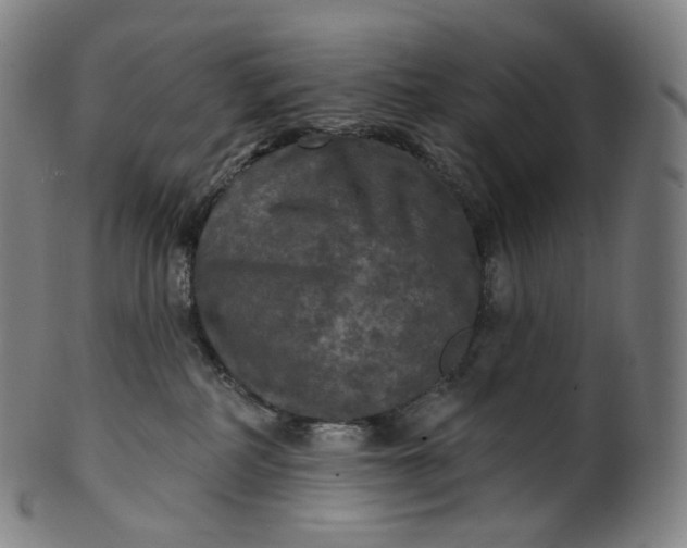 X0000099950234200806061550