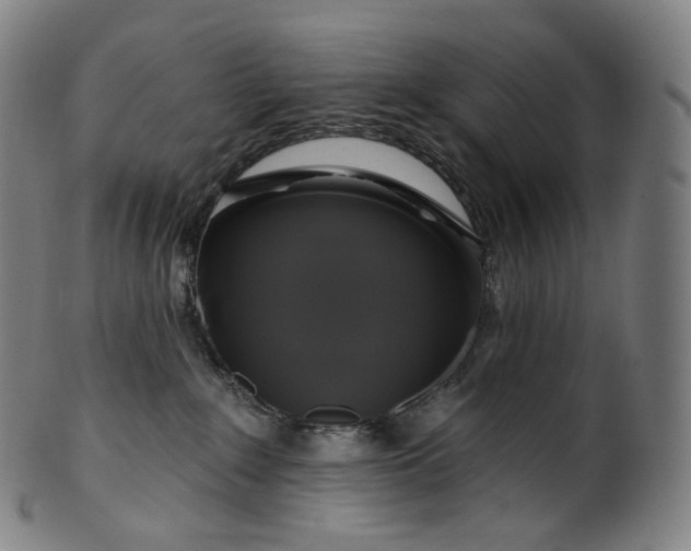 X0000099950235200806061550