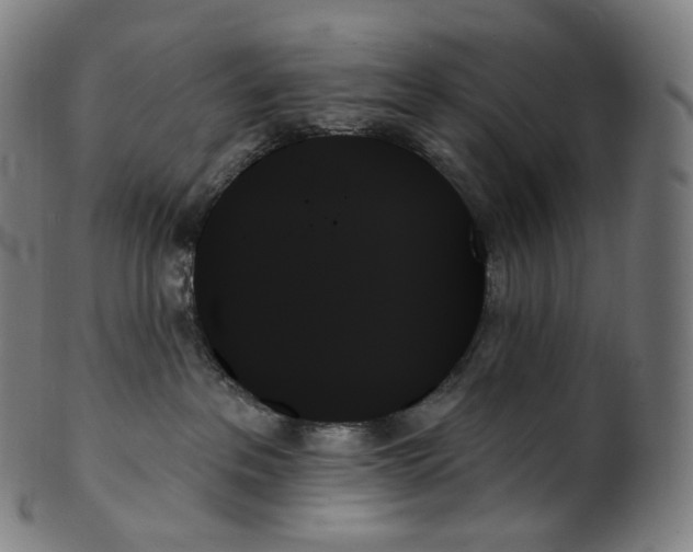 X0000099950237200806061550