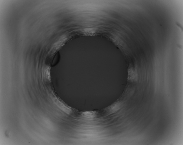 X0000099950238200806061550