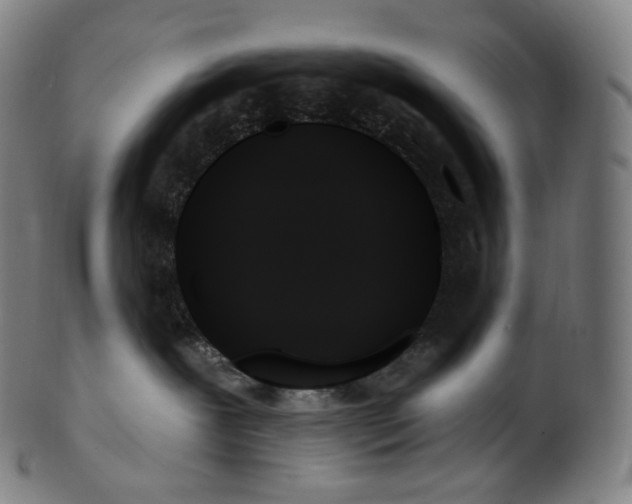 X0000099950239200806061550