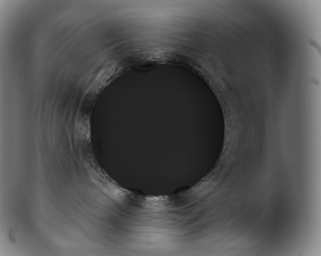 X0000099950240200806061549