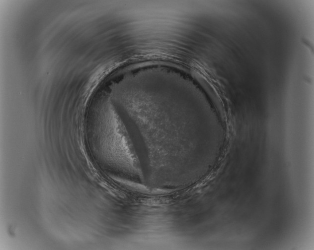 X0000099950241200806061549