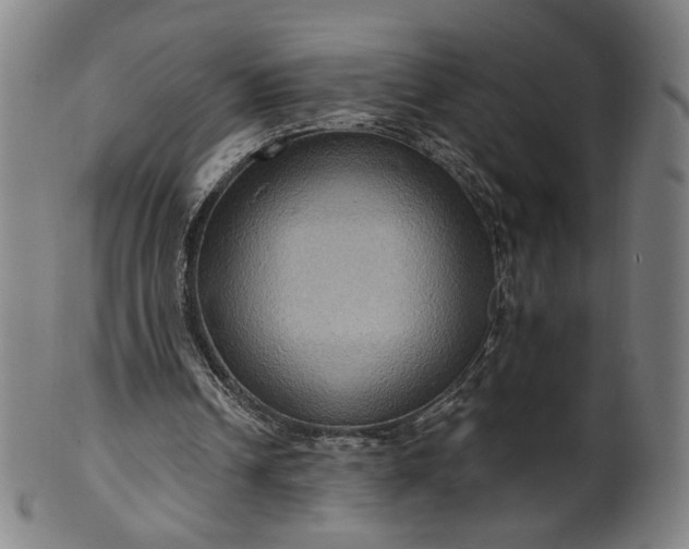 X0000099950242200806061549