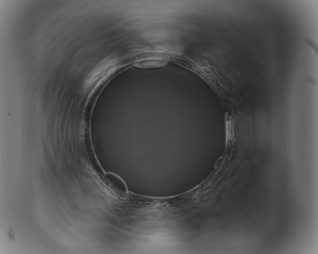 X0000099950243200806061549