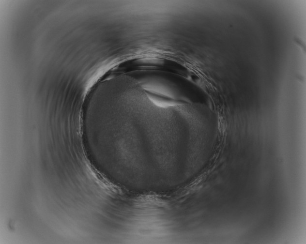 X0000099950244200806061549