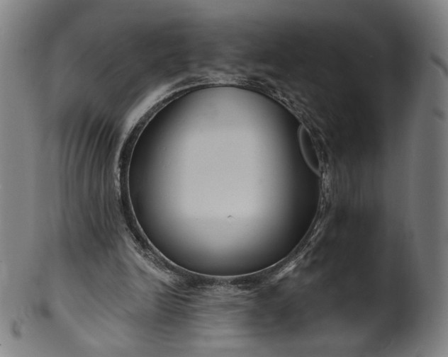 X0000099950246200806061549