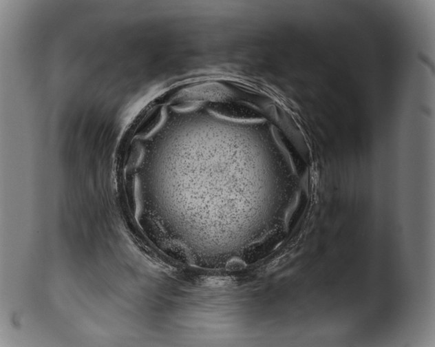 X0000099950248200806061549