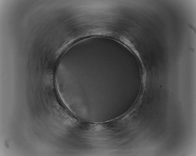 X0000099950249200806061549