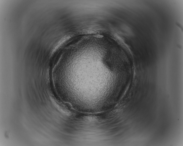 X0000099950250200806061549