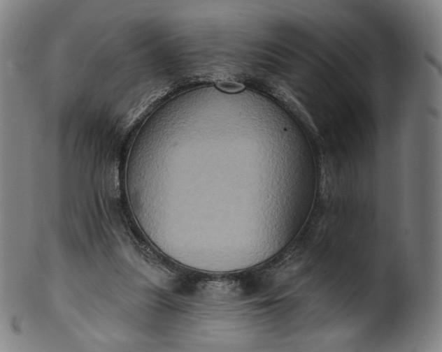 X0000099950251200806061549