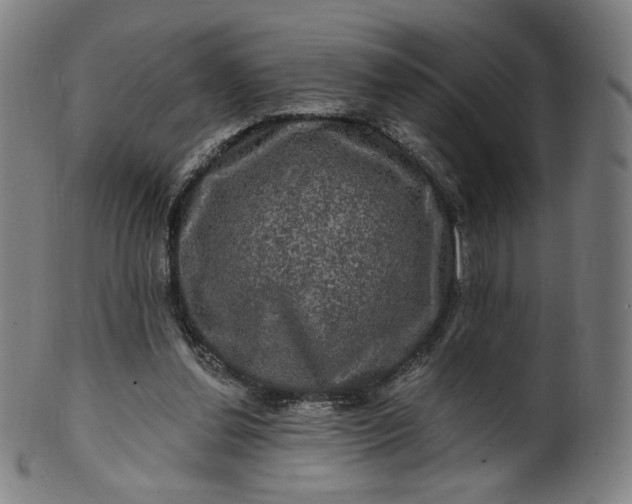 X0000099950252200806061549