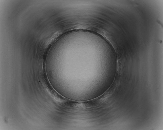 X0000099950253200806061549