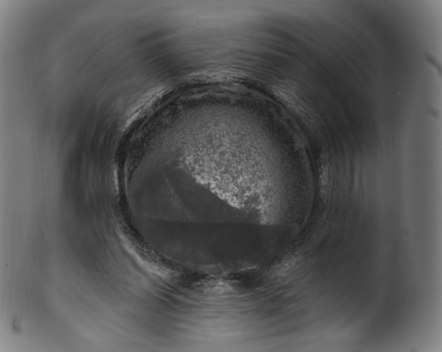 X0000099950254200806061549