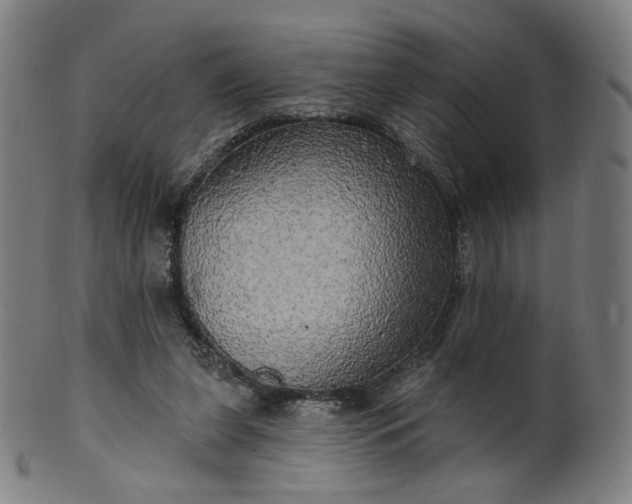 X0000099950255200806061549