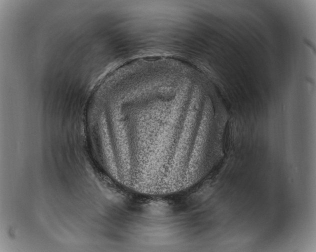 X0000099950256200806061549