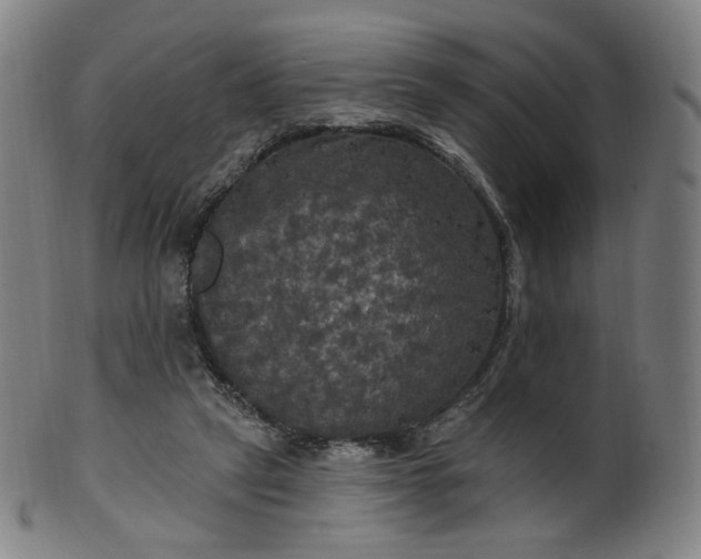 X0000099950257200806061549