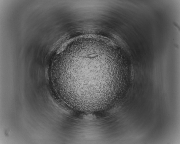 X0000099950258200806061549