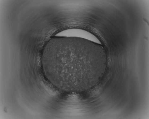 X0000099950259200806061549