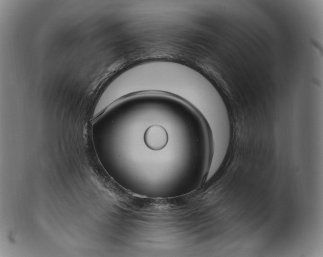 X0000099950260200806061549