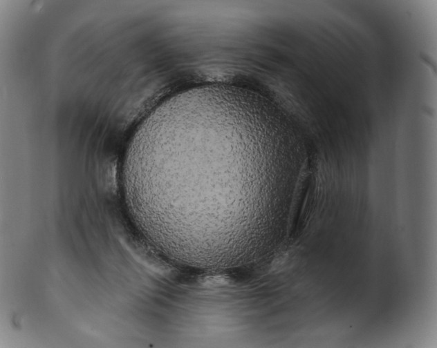 X0000099950262200806061549