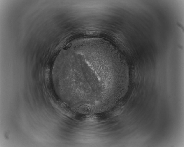 X0000099950263200806061549