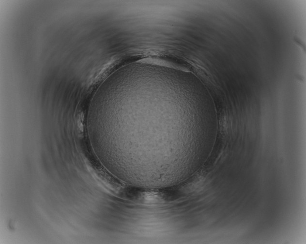 X0000099950264200806061549