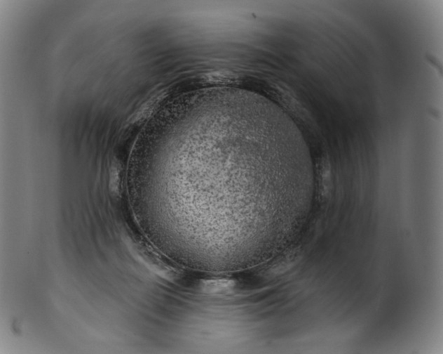 X0000099950266200806061549