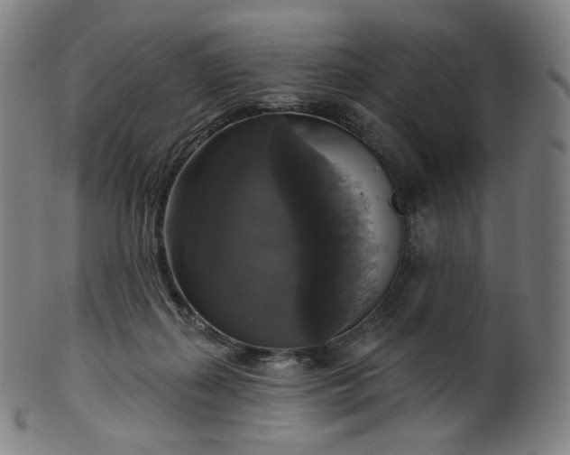 X0000099950267200806061549