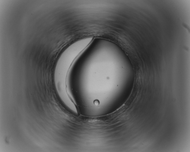 X0000099950268200806061549