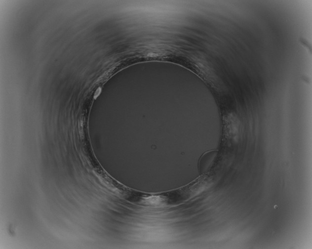 X0000099950269200806061549