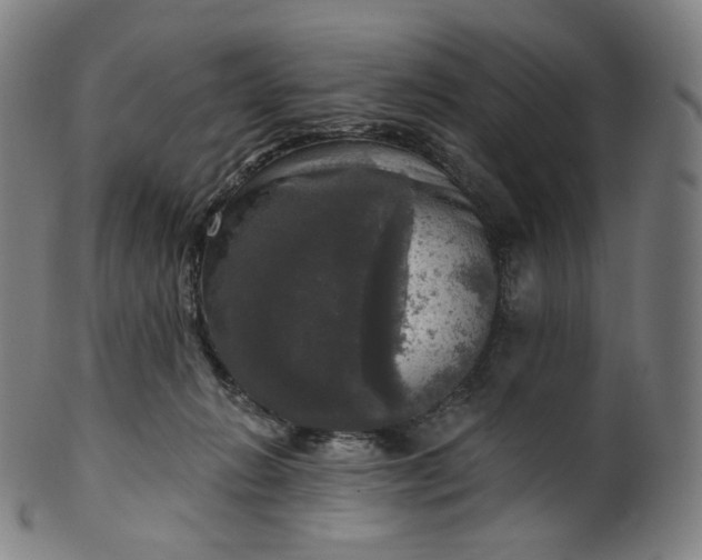 X0000099950270200806061549