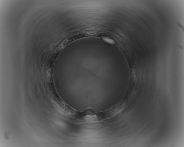 X0000099950271200806061549