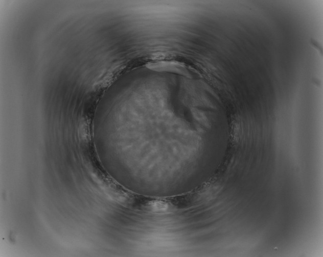 X0000099950272200806061549