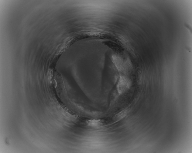 X0000099950273200806061549