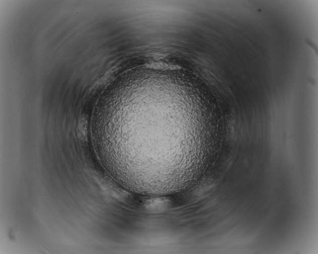 X0000099950274200806061549