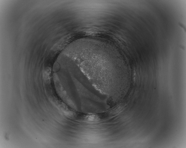 X0000099950275200806061549