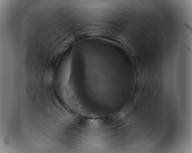 X0000099950277200806061549