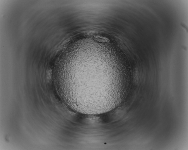 X0000099950278200806061549