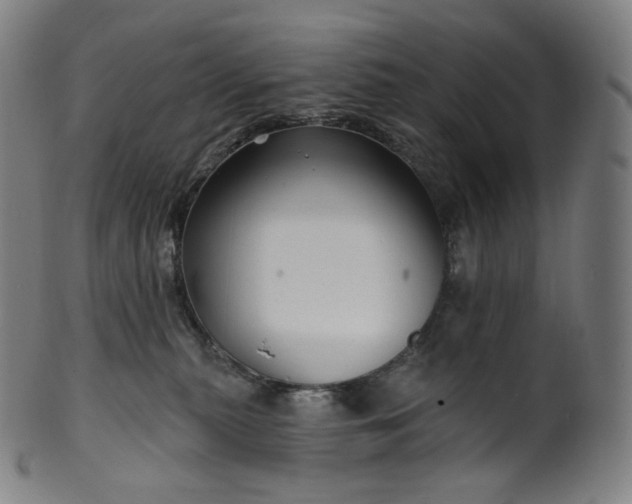 X0000099950279200806061549