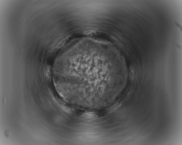 X0000099950280200806061549